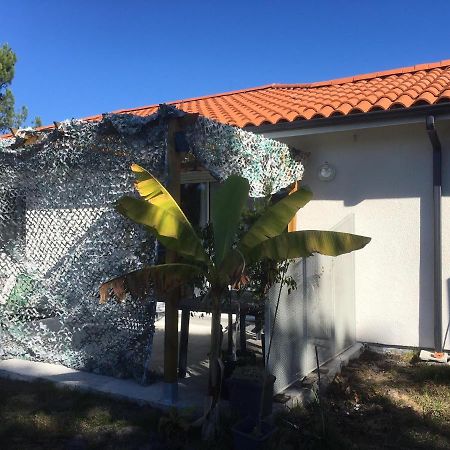 L'Ostalada Villa Sanguinet Exteriör bild