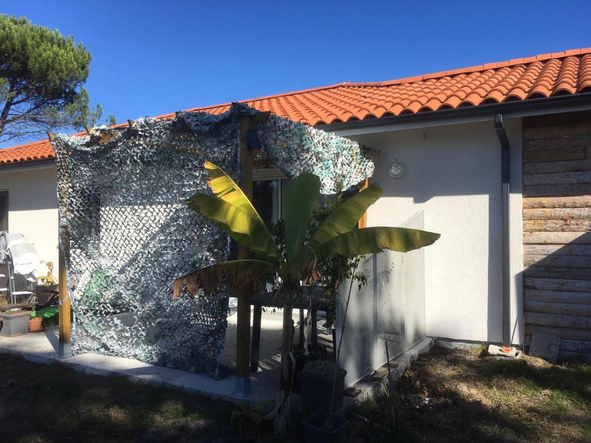 L'Ostalada Villa Sanguinet Exteriör bild